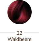 SANOTINT® Hair Colour No. 22 ?Wild Berry?(125ml)