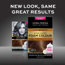 John Frieda Precision Foam Colour 6.5Pbn, Salon Finish Hair Dye, 100 Percent Grey Coverage, Lightest Cool Almond Brown (Pack of 2)