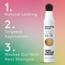 Josh Wood Blending Brush (Dark Blonde) - Grey Root Touch Up Brush to Cover Regrowth in between Colouring - Instant Coverage - Temporary, WASHES OUT - Vegan (20ml)