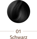 Sanotint Hair Colour Nr 01 Black 125 Mil