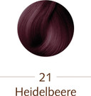 Sanotint Classic Colour 21 Myrtille 125 Mil