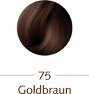 Sanotint Sensitive Colour 75 Golden Chestnut125 Mil