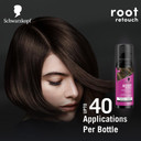 Schwarzkopf Root Retouch Instant Grey Root Coverage Spray - Temporary, Sweat & Rain Resistant, Brown 70g (Pack of 2)