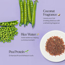 Only Curls Curl Mousse, 200ml, Curly Hair Product, Curl Volumiser & Control, Protein Rich, Lightweight Styling Foam, Conditioned, Defined, Frizz-Free Curls, For All Curly Hair Types