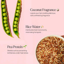 Only Curls Heat Protectant Spray, 250ml, Curly Hair Product, Lightweight & Protecting Treatment, Hydrated, Frizz-Free Curls, Thermal Protection, For All Curly Hair Types