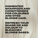 BLEACH LONDON Beer Shampoo - Follicle Fortifying Vitamins, Beer Yeast Proteins, Nutrient Rich, Vegan Cruelty Free, For Healthy Hair & Scalp, 250 ml BLEACH LONDON Beer Shampoo - Follicle Fortifying Vitamins, Beer Yeast Proteins, Nutrient Rich, Vegan Cruelty Free, For Healthy Hair & Scalp, 250 ml