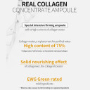 Wellage Real Collagen Concentrate Serum 15Ml (0.5 Oz.), Anti-Aging Serum With Collagen Water, Facial Serum With Beta Glucan And Sunflower Oil, Intensive Firming Serum, Strengthens Skin Barriercollagen