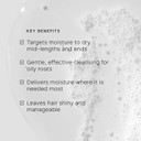 Philip Kingsley | Moisture Balancing Combination Shampoo | Hydrating for Dry and/or Oily Hair | Anti-Frizz, Anti-Oxidant Shampoo That Hydrates and Adds Shine | 75ml
