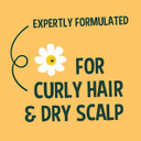 Faith In Nature 1L Natural Shea & Argan Conditioner, Moisturising for Curly Hair & Dry Scalp, Vegan & Cruelty Free, No SLS, Silicones or Parabens, Family Sized Faith In Nature 1L Natural Shea & Argan Conditioner, Moisturising for Curly Hair & Dry Scalp, Vegan & Cruelty Free, No SLS, Silicones or Parabens, Family Sized
