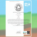 Ausha Organic AMLA Powder 500g - Indian Gooseberry - UK Certified Organic by Soil Association - Hair Growth, Conditioner, Skin,Add to Smoothies, Juices