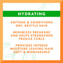 Cantu Avocado Leave-In Conditioning Repair Cream 340g (Pack of 2)