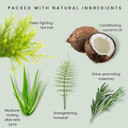 Odylique Organic Tea Tree Shampoo 200ml | For Itchy Scalp | Vegan, Certified Organic & 100% Natural | Sulphate Free & Silicone Free | Salt Free