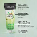 John Frieda Detox & Repair Shampoo 250 ml, Hydrating and Smoothing Shampoo for Dry, Stressed and Damaged Hair with Avocado Oil and Green Tea