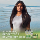 John Frieda Detox & Repair Conditioner 250 Ml, Hydrating And Smoothing Conditioner Dry, Stressed And Damaged Hair With Avocado Oil And Green Tea (Pack of 2)