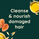 Aveeno Damage Repair Almond Oil Scalp Soothing Shampoo for Damaged Hair 300ml (Pack of 2)