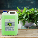 Valquer - Special Chlorophyll Shampoo for Hairdressers - Professional Shampoo - Carafe 5 L