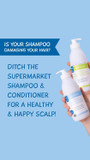 MooGoo Cream Conditioner - For Itchy, Dry, Eczema, Psoriasis & Dandruff Prone Scalps  SLS, Silicone, Sulfate & Paraben Free - Natural & Gentle Formula  500ml / 16.9 fl.oz