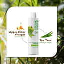 Organic Harvest Anti Dandruff Shampoo with Tea Tree and Apple Cider Vinegar for Women & Men | For All Type Hair | Free from Chemicals, Mineral Oils, Alcohol  250ml