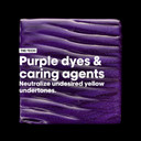 L'Oréal Professionnel Vitamino Color Spectrum Purple Tinted Shampoo 300ml, For Blonde Coloured Hair, With Ferulic Acid + Citric Acid, Neutralise Undesired Yellow Undertones