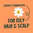 Faith In Nature Natural Grapefruit & Orange Conditioner, Purifying for Oily Hair & Scalp, Vegan & Cruelty Free, No SLS, Silicones or Parabens, 2.5L Refill