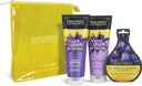 John Frieda Violet Crush Gift Set - for Blonde Hair - 2 x 250ml Shampoo/Conditioner + Miracle Drop Sachet