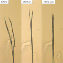 Briogeo Dont Despair Repair Moisture + Damage Defense Leave-In Treatment, Seals Split Ends and Repairs Dry, Damaged Hair, Vegan, Phalate & Paraben-Free - 118ml