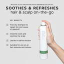 Philip Kingsley Flaky/Itchy Scalp Soothing Dry Shampoo for Flaky Oily Scalps Cleansing Scalp Care Hair Products, Refreshes, Soothes, and Cools, 6.76 oz