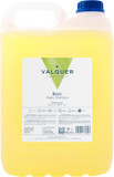 Valquer Special Apple Shampoo for Hairdressers Shampoo for Professional Carafe 5 L