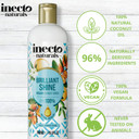 INECTO Natural Argan Shine Conditioner 500ml, Rich & Nourishing Pure Argan Oil for Beautiful Healthy Shine, for Dull Damaged Hair