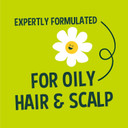 Faith In Nature Natural Seaweed & Citrus Conditioner, Detoxifying for Oily Hair & Scalp, Vegan & Cruelty Free, No SLS, Silicones or Parabens, 5L Refill Pack