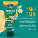 Dermatonics Natural Hand Care Balm | Shea Butter and Urea Formula for Effective Treatment of Rough, Dry Skin and Cracking | Dermatologist Recommended and Paraben-free | 70 ml