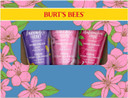 Burt's Bees Hand Cream Gift Set With Shea Butter, Lavender & Honey, Wild Rose & Berry and Watermelon & Mint, 3 Pack
