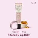 William Morris At Home Hand Cream 30ml and Lip Balm 10ml in Display Tray With Canvas Pocket Pouch, Shea Butter and Jojoba Oil, Beauty Gift For Her, Travel Size, Cruelty and Vegan Friendly