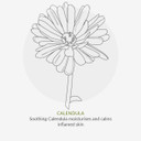 Green People Lash & Lift Mascara Gift Set - Natural Black Mascara & Remover - Long Lasting Colour - Sensitive Eyes - Pregnancy Safe, Gluten Free