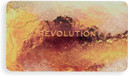 Revolution Beauty, Forever Flawless Eyeshadow Palette, 18 Pigmented Makeup Shades of Mattes & Shimmers, Vegan & Cruelty-Free, Bronze Temptation