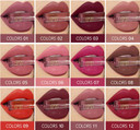 Sexy 12 Colours Lip Gloss Set Velvety Liquid Lipstick Long Lasting Waterproof Moisturizing Cosmetic Lipsticks Professional Matte Nude Liquid Lipstick Gift Kit