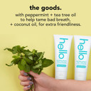 Hello Goodbye Plaque Plus Whitening Fluoride-Free Toothpaste, Natural Peppermint Flavour, Peroxide Free, 82 ml