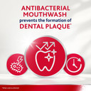 Prevents Gum Disease & Bleeding Gum Treatment, Antibacterial Mouthwash, Original Alcohol Free, 300 ml (Pack of 2)