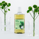 Ecodenta Multifunctional Alcohol Free Mouthwash for Bad Breath with Fluoride Suitable for Kids - Mouth wash 500 ml