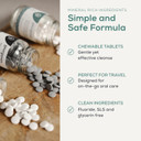 Georganics Mineral Toothtablets - Spearmint Natural Toothpaste Tablets - Cleansing & Plaque-Reducing - SLS, Glycerine & Fluoride Free - Certified Cosmos Natural, Vegan & Cruelty Free - 120 Tablets