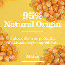 BULLDOG SKINCARE - Energising Face Wash For Men | Revitalising Face Cleanser | 150 ml