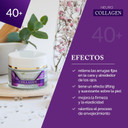 Bielenda Neuro Collagen Moisturising Face Cream Fills Fixed Wrinkles And Lifts The Skin Improves Firmness Of The Skin Moisturizing Face Cream Concentrate 40+ Day/Night - 50 ml
