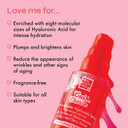 The Beauty Crop Oui Cherie Hyaluronic Acid Serum - Multi-Molecular Hydrating, Vegan Friendly and Fragrance Free - 30ml