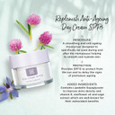 Healthspan Anti-Ageing Day Cream SPF15 (50ml) | Combat the effects of lower oestrogen levels | Phytoestrogens | Hydrate & Improve Skin Elasticity | Reduce Lines & Wrinkles | Brighter Complexion