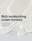 TIRTIR Natural Ceramide Cream | Deep moisturizer for Glass Skin, Polyglutamic acid, Centella Asiatica Extract, Skin barrier, Nature derived ingredients, Dry skin, Korean skincare (50ml, Original)