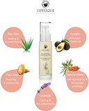 Odylique - Natural Face Moisturiser  Avocado 24 Hour Replenishing Cream - With Vitamin Rich Avocado + Rejuvenating Frankincense  For Dry Skin (50ml)