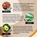 Urban Veda Soothing Facial Oil | For Dry, Sensitive and Mature Skin | Avocado oil & Rosehip Oil for face |Calming, Nourishing & Brightening | Natural Face oil with Bio Oil | Vitamin A Oil | 30 ML