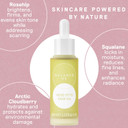 Balance Me Rose Otto Face Oil 30ml, Dry Skin Face Moisturiser with Rosehip, Skin Care for Anti Redness and Acne Scarring, Vegan Cruelty Free