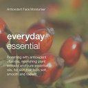 Natio Australia Aromatherapy Antioxidant Face Moisturiser, 100 ml - Anti-Aging Face Cream - Rosehip and Vitamin E - Face Lotion for All Skin Types