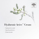 New Nordic Hyaluronic Active Cream with Hyaluronic Acid & Shea Butter - Improve Skin Elasticity & Reduce Visibility of Wrinkles - Odour Free - 50 ml